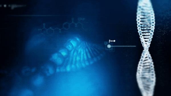 科学家解开了百年的表基因之谜