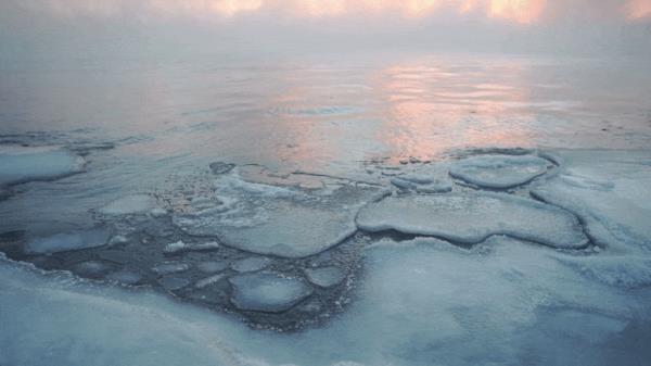 哈佛科学家发现了第一个海平面指纹