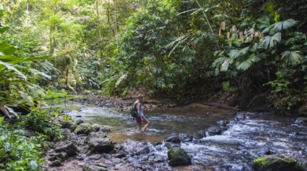 Costa Rica's Corcovado Natio<em></em>nal Park is home to 2.5 per cent of the world's biodiversity.