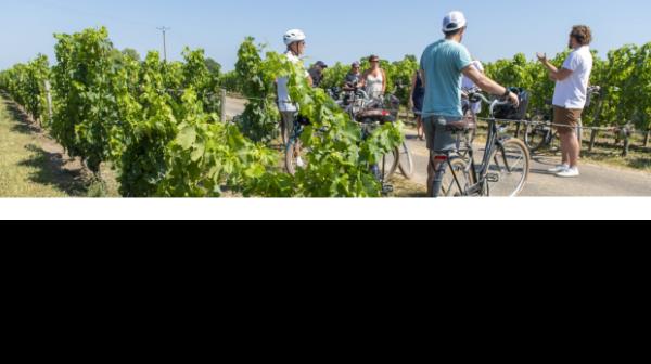 sunnov20coverÃÂ e-bike cycling in the south of France ; text by Gyan Yankovich
cr: Vincent Bengold/Bordeaux Tourism (handout imageÃÂ downloadedÃÂ fromÃÂ https://phototheque.bordeaux-tourisme.comÃÂ for use in Traveller, noÃÂ syndication)Generic for wine tour and wine tastingLocation : LÃÂ©ognan in Bordeaux France