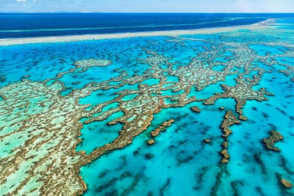 自36年前开始监测以来，大堡礁中部和北部珊瑚覆盖率最高